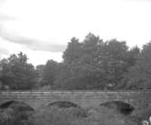 Bro.5 augusti 1954.