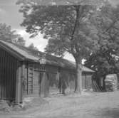 Byggnad. Nora, kvarteret Venus 10.
juli - augusti 1954.