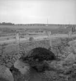 Hagabybron.24 augusti 1954.