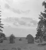 Hjortsberga, fornlämningar.
1954.