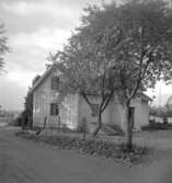 Liljas gård, bostadshus.
12 oktober 1954.