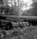 Stora Lassåna, stångjärnshammare.
7 juli 1955.