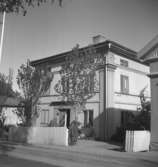 Bostadshus.3 september 1956.