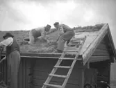 Fjugesta hembygdsgård, takläggning.
Bilden tagen år 1954.