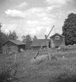 Bostadshus och byggnader.
25 juni 1958.