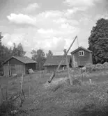 Bostadshus och byggnader.
25 juni 1958.