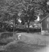 Bostadshus.25 juni 1958.