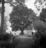 Bostadshus.25 juni 1958.