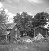 Vikersgården.25 juni 1958.
