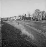 Utsikt över Ljusnarsberg.