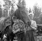 Lägret i Sikfors, två pojkar med en häst.