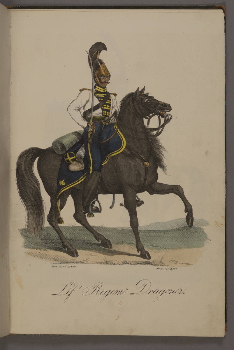 Kjell Hedberg, Plansch med uniform för Livregementets dragoner. Handkolorerad litografi efter original av Johan Sjöholm. Ingår i planschsamlingen Kongliga svenska arméens uniformer utgiven som stentryck av Müller 1825.