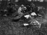 Picknick, grupp åtta personer i gröngräset.