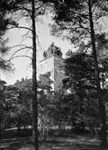 Sten Sture-monumentet, Kronåsen, Uppsala augusti 1946