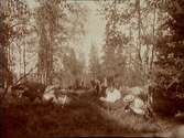 Personer sittande i en skogsbacke