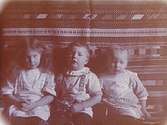 Tre små barn.Syskonen Maj, Sven och Carl-Edvard Thermaenius