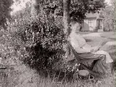 Läsande dam utomhus. Charlotta Abrahamsdotter eller hennes syster Christina Winqvist, (fotografens mor).