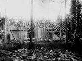 Ladugårdsbygge vid Hagalund, takstolsresning.
Bilden tagen i slutet av 1920-talet.