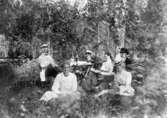 Familjegrupp sex personer, picknick.
Sommaren 1901.