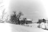 Boningshus och uthus.
Trösslingstorp. Den äldre kvinnan som syns på väg mellan bostadshuset och den andra byggnaden är Johanna Matilda Karlsson (1874-1956). Hon bodde i Trösslingstorp och avslutade sina dagar i Töreboda  1956.

Vinterbild. Mars 1945.