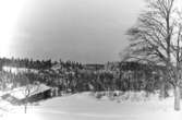 Ladugård.
Trösslingstorp.
Vinterbild.
Mars 1945.