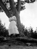 Örebro kolonien.
En kvinna vid ett träd.