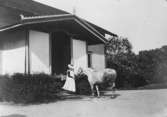 Bostadshus, en ung kvinna och en häst framför huset.
Fröken Westin och hästen 