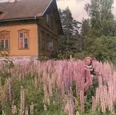 Bystad skola.
Vid köpet år 1966 var trädgården helt förvildad och igenvuxen av lupiner. Eftersom familjen tillträdde huset först i december 1966 bör dessa bilder vara tagna sommaren 1967, då givarens föräldrar började röja utomhus. Personerna på bilderna är givaren Maria Szewczyk (senare gift Wistrand) och hennes mor Inga Szewczyk.