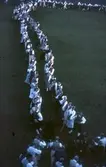 Folkdans och spelmansstämma i Örebro 16-19 juli 1965 i samband med Örebros 700 årsjubileum.
Långdans på Eyravallen.