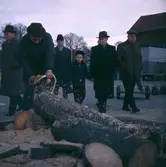 Hindersmässomarknaden 1964-01. Såga träd.