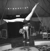 Miss Anette, Cirkus Scala, Osby.