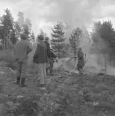 Pyromanbränderna i Kopparberg den 19 juni 1961. Brandsläckning.