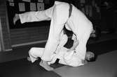Peter Kårlin och Manfred Månmyr från Lindome judoklubb tränar, år 1984.

För mer information om bilden se under tilläggsinformation.