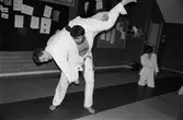 Peter Kårlin och Manfred Månmyr från Lindome judoklubb tränar, år 1984.

För mer information om bilden se under tilläggsinformation.