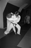 Ungdomar från Lindome judoklubb tränar, år 1984.

För mer information om bilden se under tilläggsinformation.