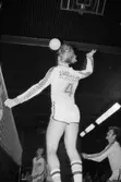 Volleybollmatch mellan de båda lindomelagen Lindome Finska Förening och Trevaren i Ekenskolans idrottshall, Kållered, år 1984.

För mer information om bilden se under tilläggsinformation.