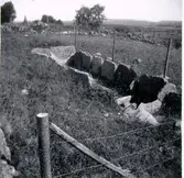 Utbogårdens hällkista.