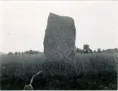 Rest sten på Ekornavallen.