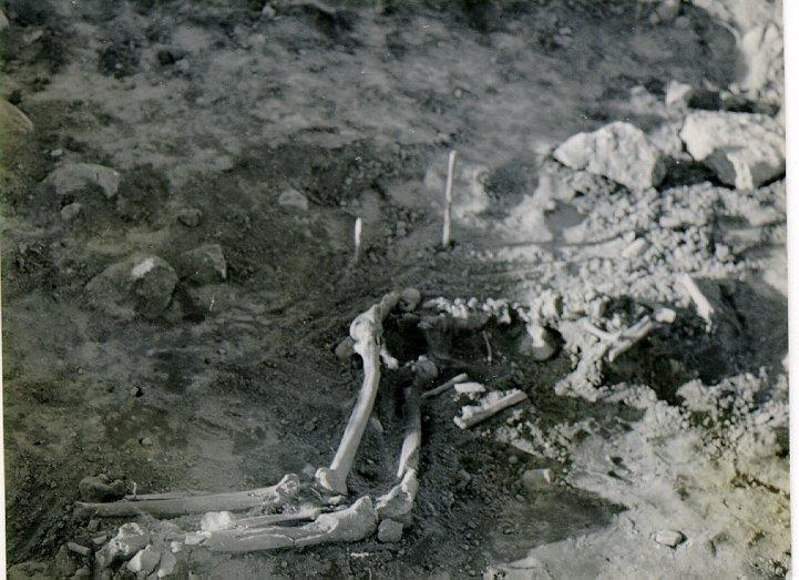 Hilding Svensson, From excavation of the burial field of Gällshögen. Excavation in the spring of 1935.