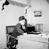Porträtt på Clara Aulin. Bilden tagen den 1 juni 1937. Clara Aulin var anställd som kassörska vid Örebro läns museum. (Troligen kan bilden vara tagen inifrån Örebro läns museums dåvarande lokaler i Slottet.)