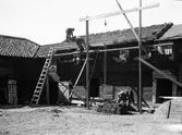 Läggning av torvtak på loftbod på Gränbygården, friluftsmuseet Disagården, Gamla Uppsala 1930 - 1931