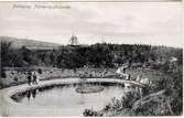 Planteringsförbundets park, Svandammen. Sydvästra delen av parkområdet var ännu ett par år in på 1900-talet en ogästvänlig stenhåla, den s.k. Jungfruhålan men blev sedan omgjord till damm.