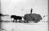 Ernst Jonsson, Bredene kör in hö med släde från en lada (därav vinterbild)