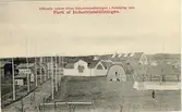 Falköpings Hantverks- och Industriförening. Officiella vykort över Industriutställningen i Falköping 1910. Parti av Industriutställningen.