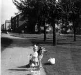 Liselotte Roslundh med Zorro i parken.