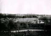 Planteringsförbundets park. Med Svandammen. Fotot taget från åsen norr om svandammen mot gamla staden omkring 1910.