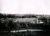 Planteringsförbundets park. Med Svandammen. Fotot taget från åsen norr om svandammen mot gamla staden omkring 1910.