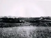 Planteringsförbundets park. Utsikt från höjderna i parken. Från vänster: Läroverket, Lasarettet,Gamla folkskolan i lasarettsparken, Gamla slöjdskolan vid nuvarande Frejagatan under byggnad, Jungmarkerska fastigheten, Forsska huset och kyrkan. I det mörka partiet mitt på bilden flöt Falebäcken. I bakgrunden: Länslasarettet till vänster och kyrkan till höger.