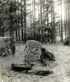 Planteringsförbundets park. St Olofsgatan. Gånggriften Kyrkerör, restaturerad 1928.