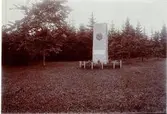Planteringsförbundets park. Doktor A.P. Westerbergs minnessten.